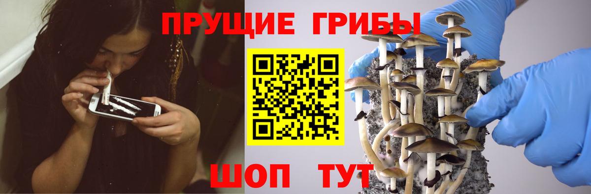 Псилоцибиновые грибы Magic Shrooms Благовещенск